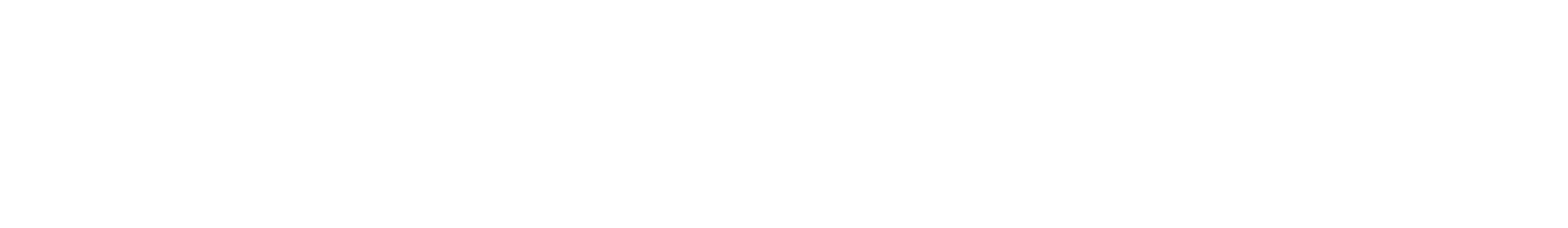 Webディレクター育成研修 知識を学び、思考力を養い、技術を身につける